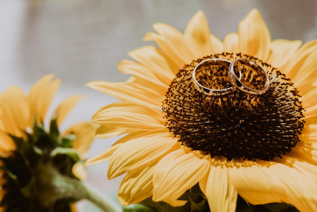 Wedding rings on top of a sunflower