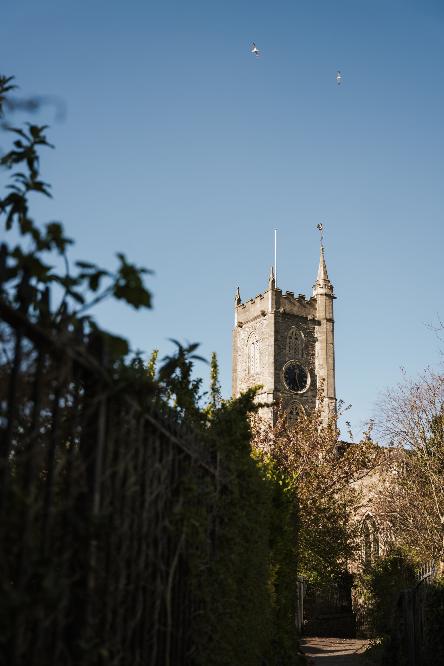 Outside view of the Mount Without