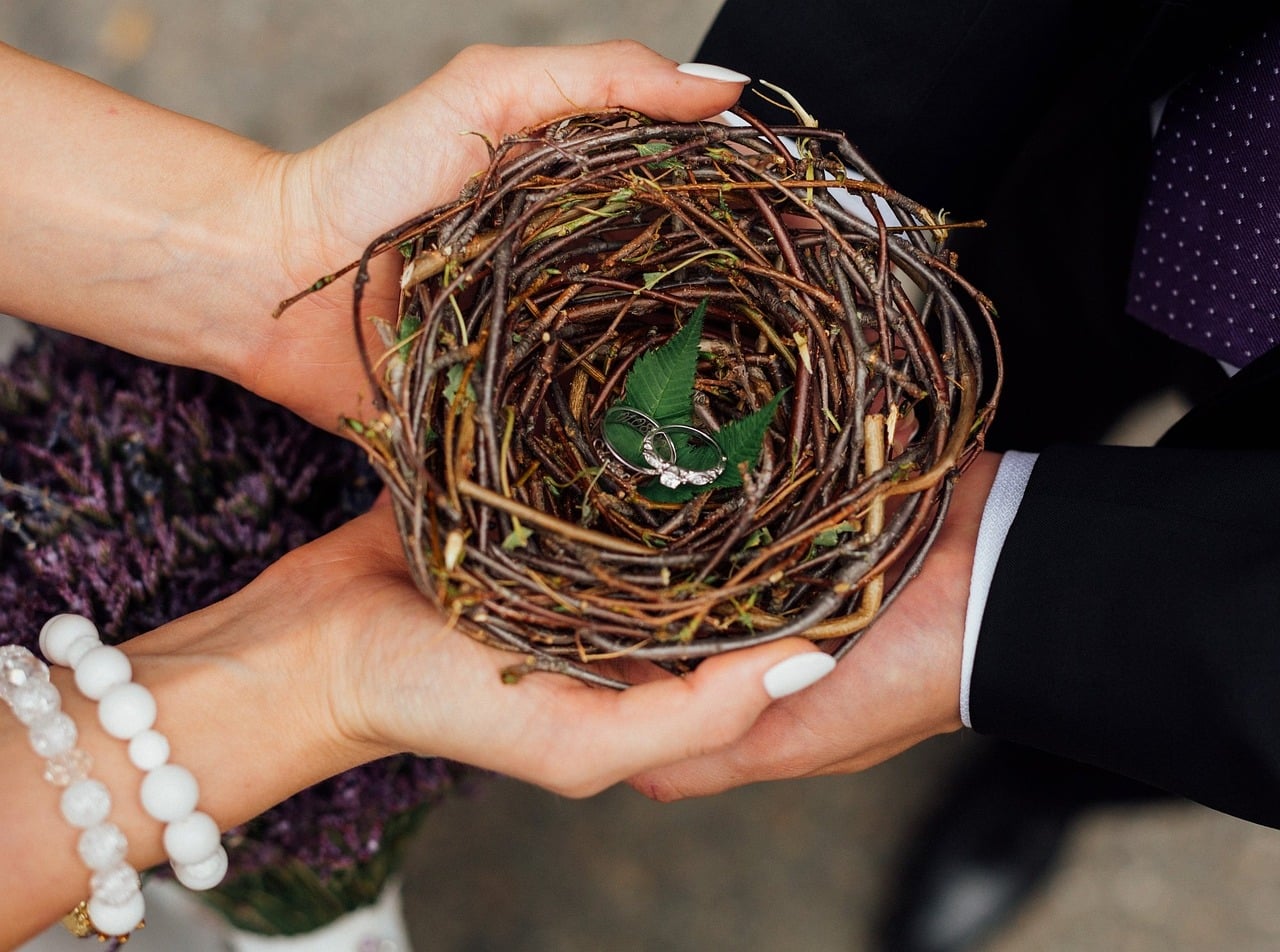 Wedding rings in a nest
